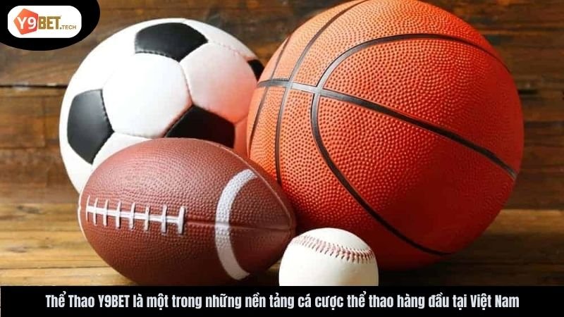thể thao y9bet